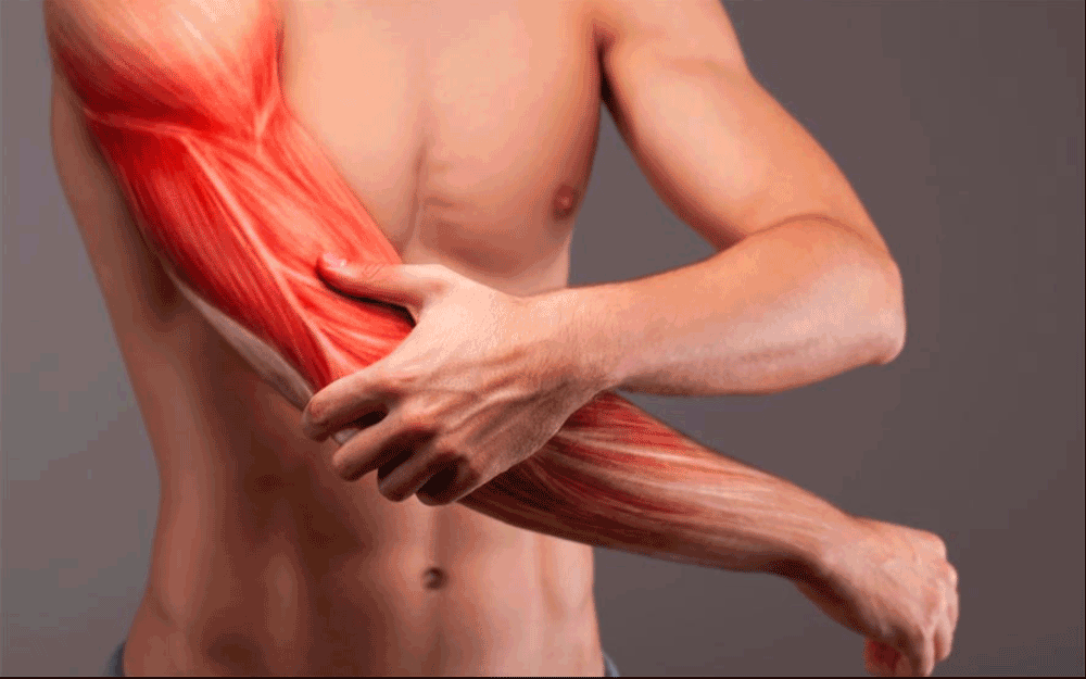 حرکت های ورزشی برای درمان درد عضلات