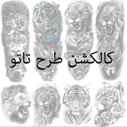 دانلود مجموعه طرح های تاتو